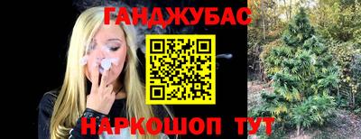 МДПВ Пенза