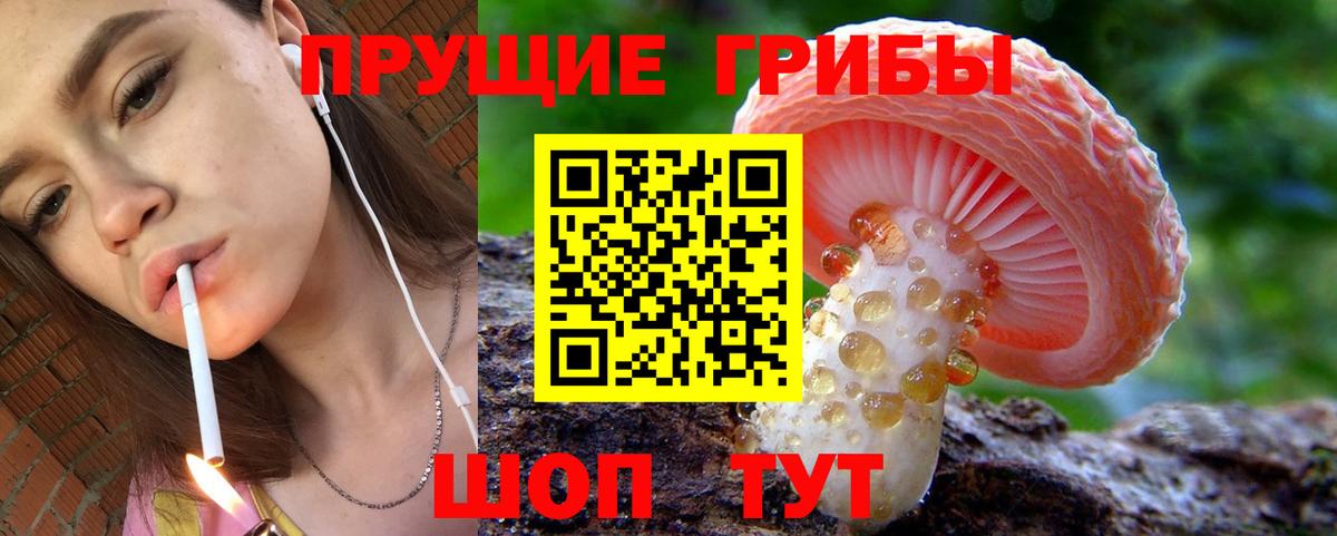Псилоцибиновые грибы Magic Shrooms  Галлюциногенные грибы Psilocybe  Симферополь  Вход с VPN 